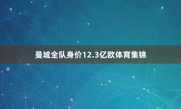 曼城全队身价12.3亿欧体育集锦