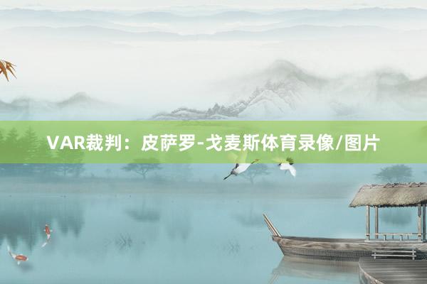 VAR裁判：皮萨罗-戈麦斯体育录像/图片