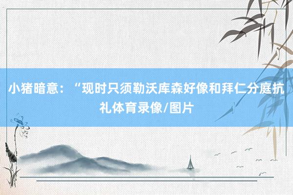 小猪暗意：“现时只须勒沃库森好像和拜仁分庭抗礼体育录像/图片
