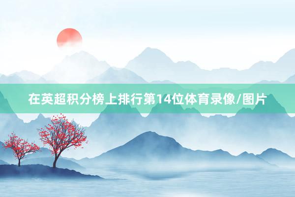 在英超积分榜上排行第14位体育录像/图片
