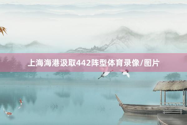 上海海港汲取442阵型体育录像/图片