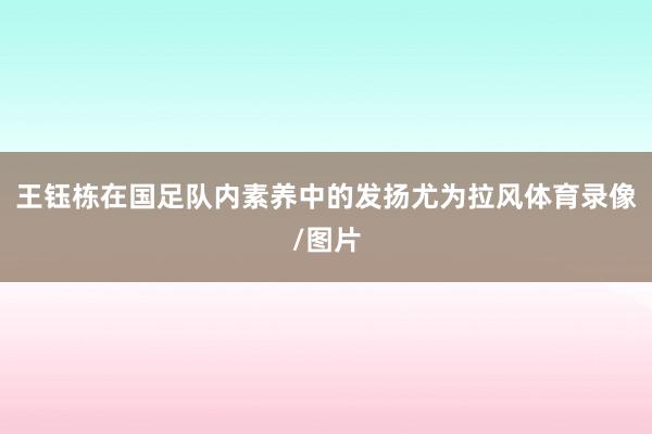 王钰栋在国足队内素养中的发扬尤为拉风体育录像/图片