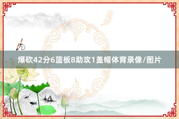 爆砍42分6篮板8助攻1盖帽体育录像/图片