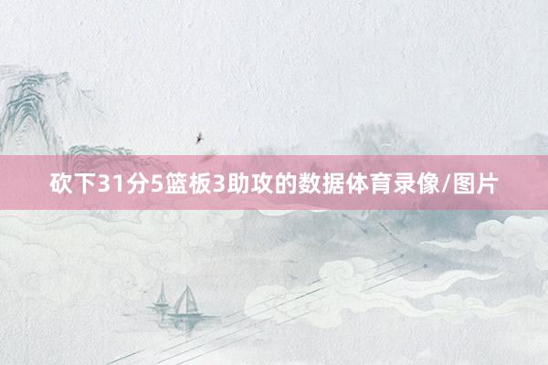 砍下31分5篮板3助攻的数据体育录像/图片