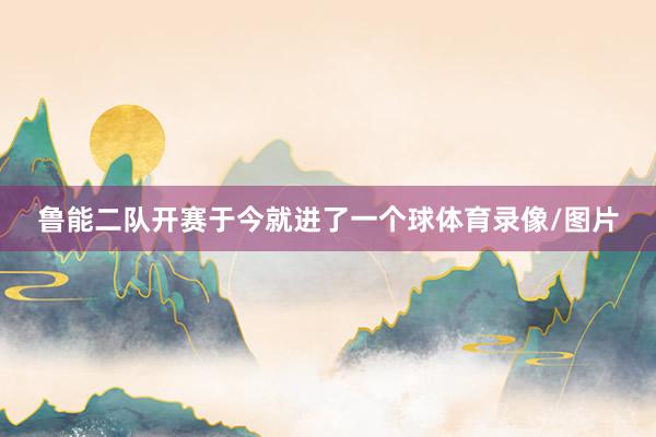 鲁能二队开赛于今就进了一个球体育录像/图片