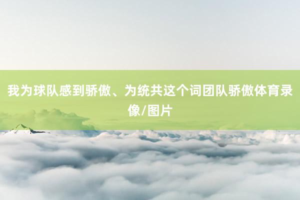 我为球队感到骄傲、为统共这个词团队骄傲体育录像/图片