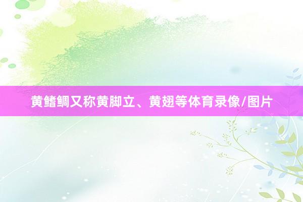 黄鳍鲷又称黄脚立、黄翅等体育录像/图片
