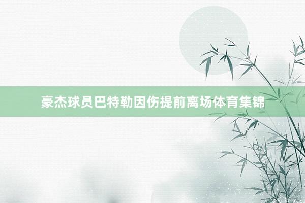 豪杰球员巴特勒因伤提前离场体育集锦