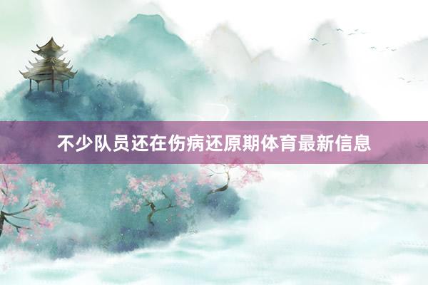 不少队员还在伤病还原期体育最新信息