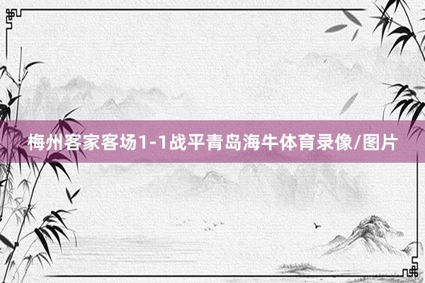 梅州客家客场1-1战平青岛海牛体育录像/图片