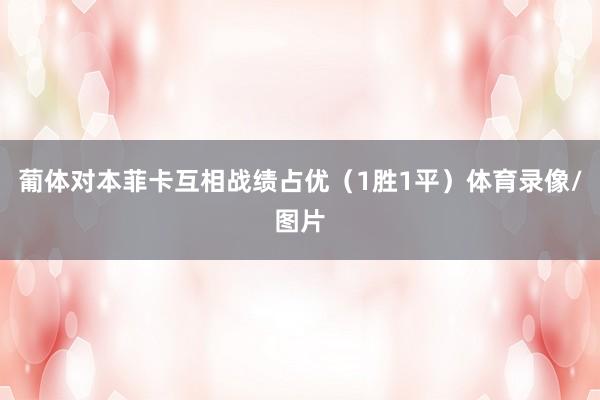 葡体对本菲卡互相战绩占优（1胜1平）体育录像/图片