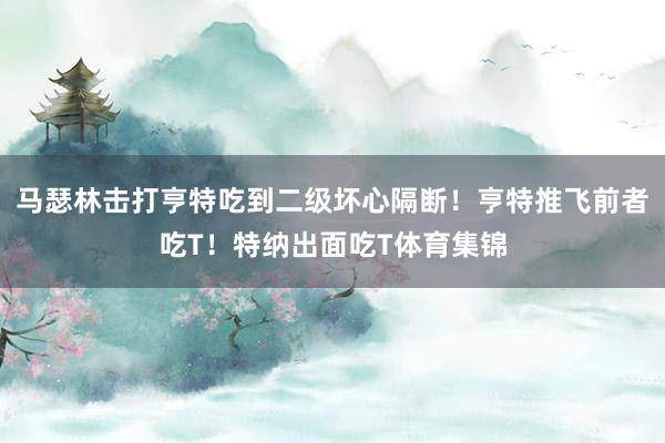 马瑟林击打亨特吃到二级坏心隔断！亨特推飞前者吃T！特纳出面吃T体育集锦