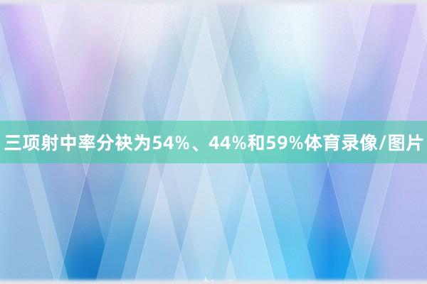 三项射中率分袂为54%、44%和59%体育录像/图片