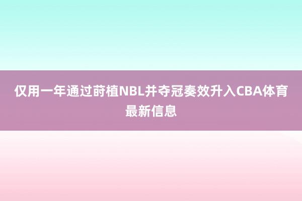 仅用一年通过莳植NBL并夺冠奏效升入CBA体育最新信息