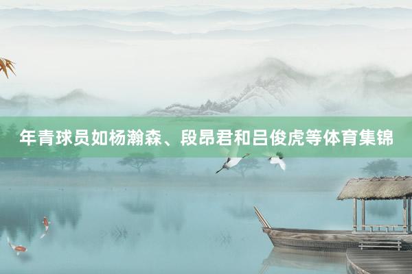 年青球员如杨瀚森、段昂君和吕俊虎等体育集锦