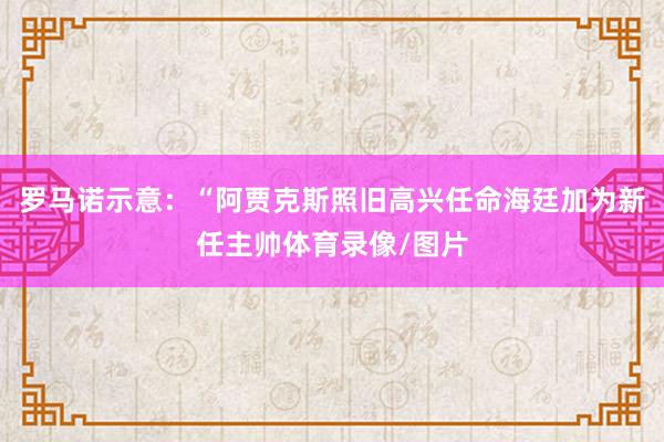 罗马诺示意：“阿贾克斯照旧高兴任命海廷加为新任主帅体育录像/图片