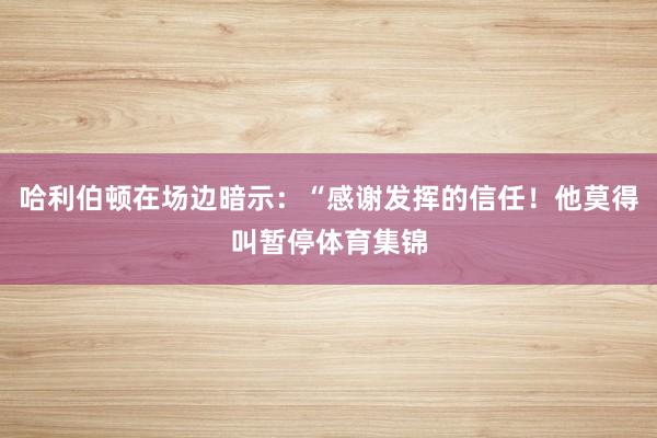 哈利伯顿在场边暗示：“感谢发挥的信任！他莫得叫暂停体育集锦