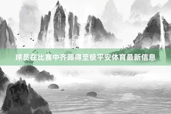 球员在比赛中齐踢得至极平安体育最新信息