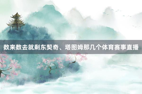 数来数去就剩东契奇、塔图姆那几个体育赛事直播