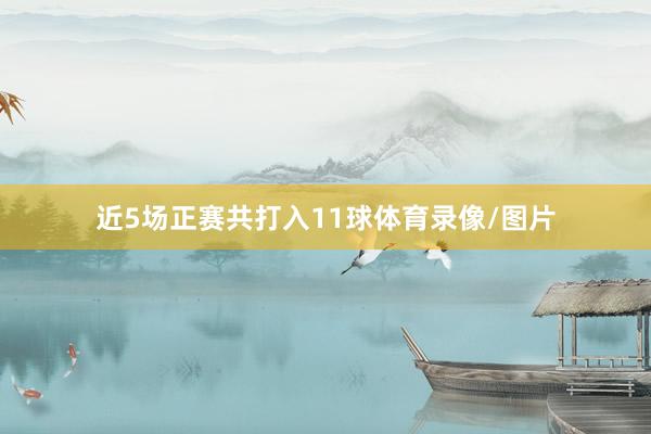 近5场正赛共打入11球体育录像/图片
