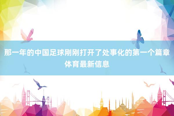 那一年的中国足球刚刚打开了处事化的第一个篇章体育最新信息