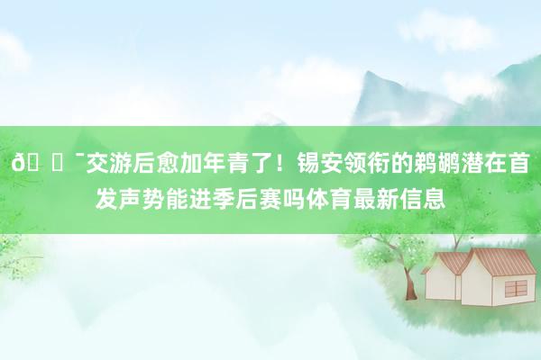 😯交游后愈加年青了！锡安领衔的鹈鹕潜在首发声势能进季后赛吗体育最新信息