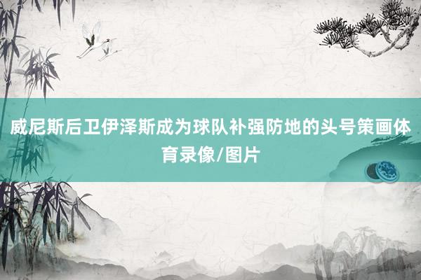 威尼斯后卫伊泽斯成为球队补强防地的头号策画体育录像/图片