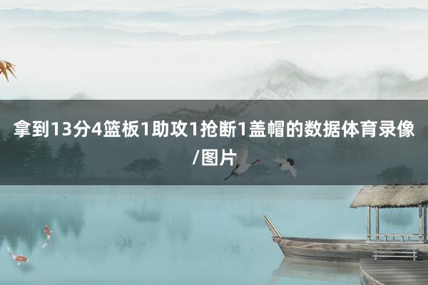 拿到13分4篮板1助攻1抢断1盖帽的数据体育录像/图片