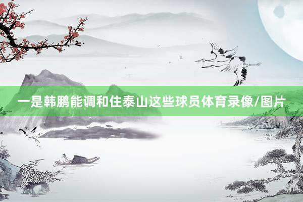一是韩鹏能调和住泰山这些球员体育录像/图片