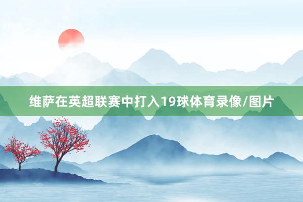 维萨在英超联赛中打入19球体育录像/图片