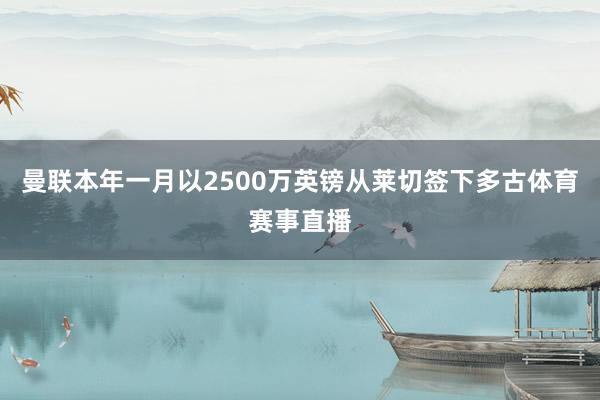曼联本年一月以2500万英镑从莱切签下多古体育赛事直播