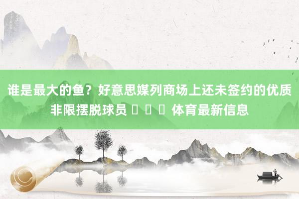 谁是最大的鱼？好意思媒列商场上还未签约的优质非限摆脱球员 ​​​体育最新信息