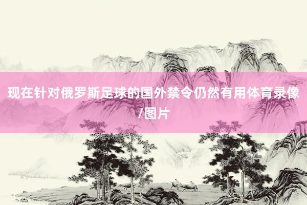 现在针对俄罗斯足球的国外禁令仍然有用体育录像/图片