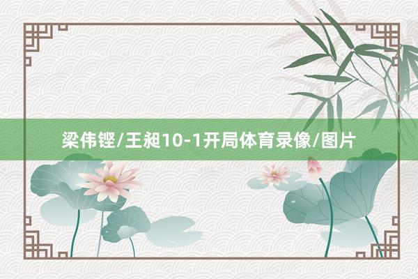 梁伟铿/王昶10-1开局体育录像/图片