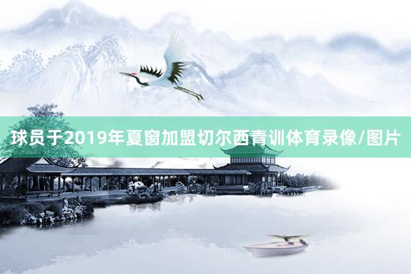 球员于2019年夏窗加盟切尔西青训体育录像/图片