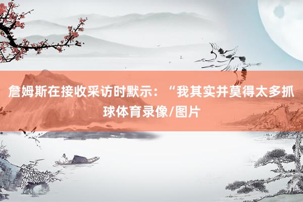詹姆斯在接收采访时默示：“我其实并莫得太多抓球体育录像/图片