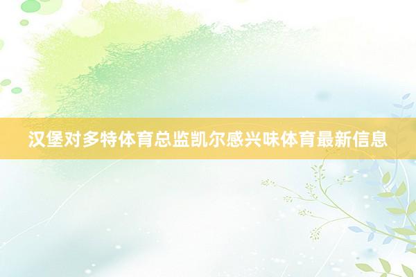 汉堡对多特体育总监凯尔感兴味体育最新信息