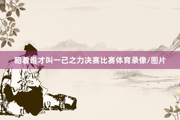 昭着谁才叫一己之力决赛比赛体育录像/图片
