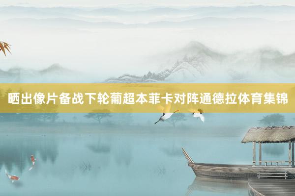 晒出像片备战下轮葡超本菲卡对阵通德拉体育集锦