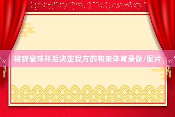 将辞寰球杯后决定我方的将来体育录像/图片