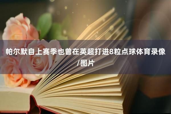 帕尔默自上赛季也曾在英超打进8粒点球体育录像/图片
