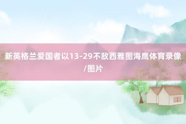 新英格兰爱国者以13-29不敌西雅图海鹰体育录像/图片