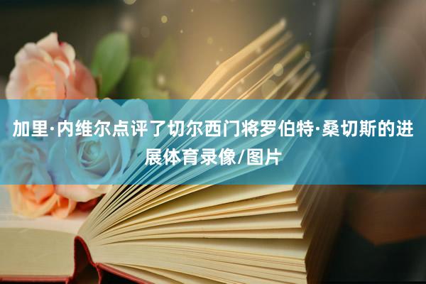 加里·内维尔点评了切尔西门将罗伯特·桑切斯的进展体育录像/图片