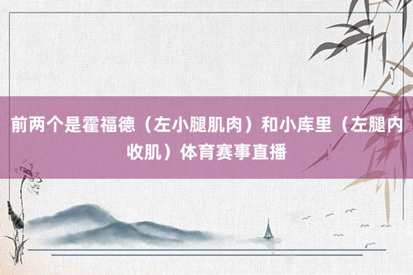 前两个是霍福德（左小腿肌肉）和小库里（左腿内收肌）体育赛事直播