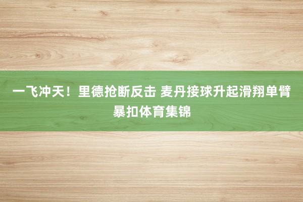 一飞冲天！里德抢断反击 麦丹接球升起滑翔单臂暴扣体育集锦