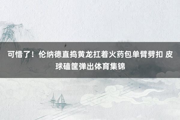 可惜了！伦纳德直捣黄龙扛着火药包单臂劈扣 皮球磕筐弹出体育集锦