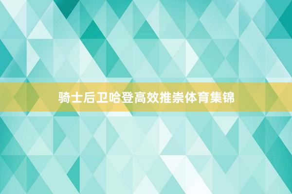 骑士后卫哈登高效推崇体育集锦
