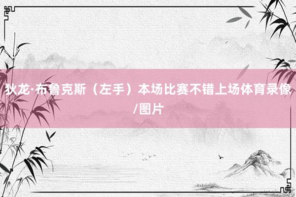狄龙·布鲁克斯（左手）本场比赛不错上场体育录像/图片