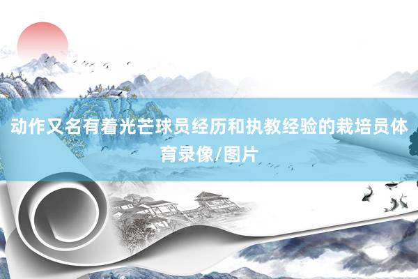 动作又名有着光芒球员经历和执教经验的栽培员体育录像/图片