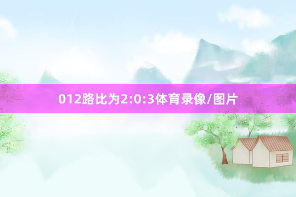 012路比为2:0:3体育录像/图片